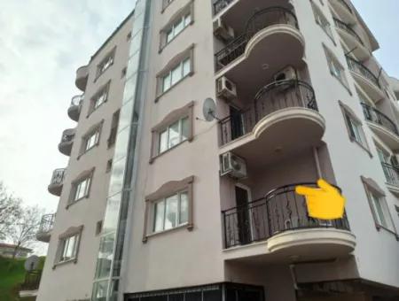 Wohnung Zu Verkaufen In Aydin Didim Altinkum